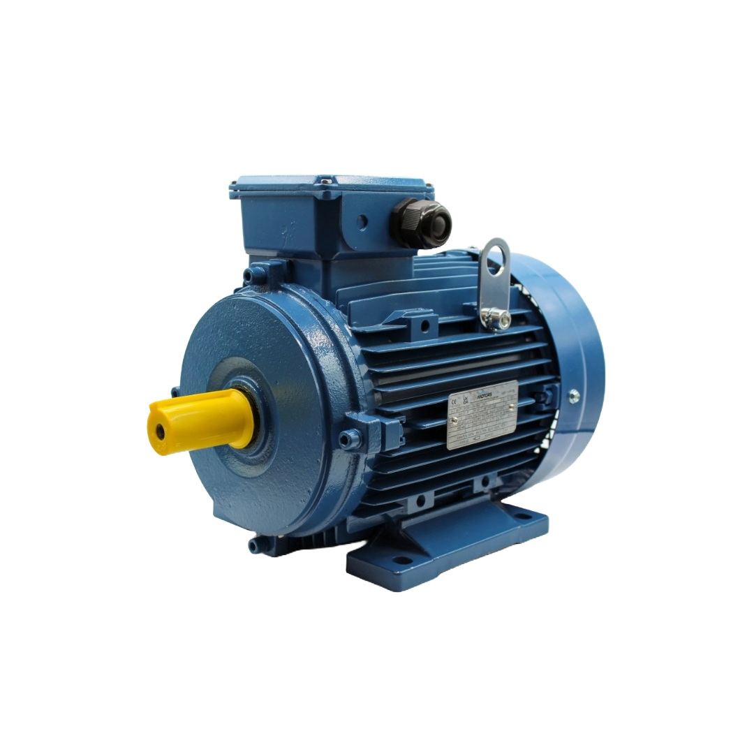 Motor Eléctrico Tipo B3