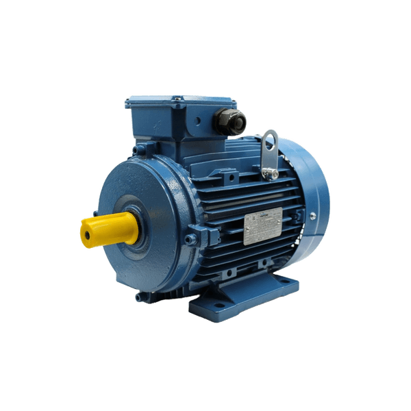 Motor Eléctrico Tipo B3
